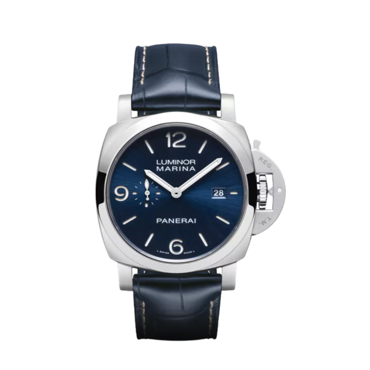 PAM03313