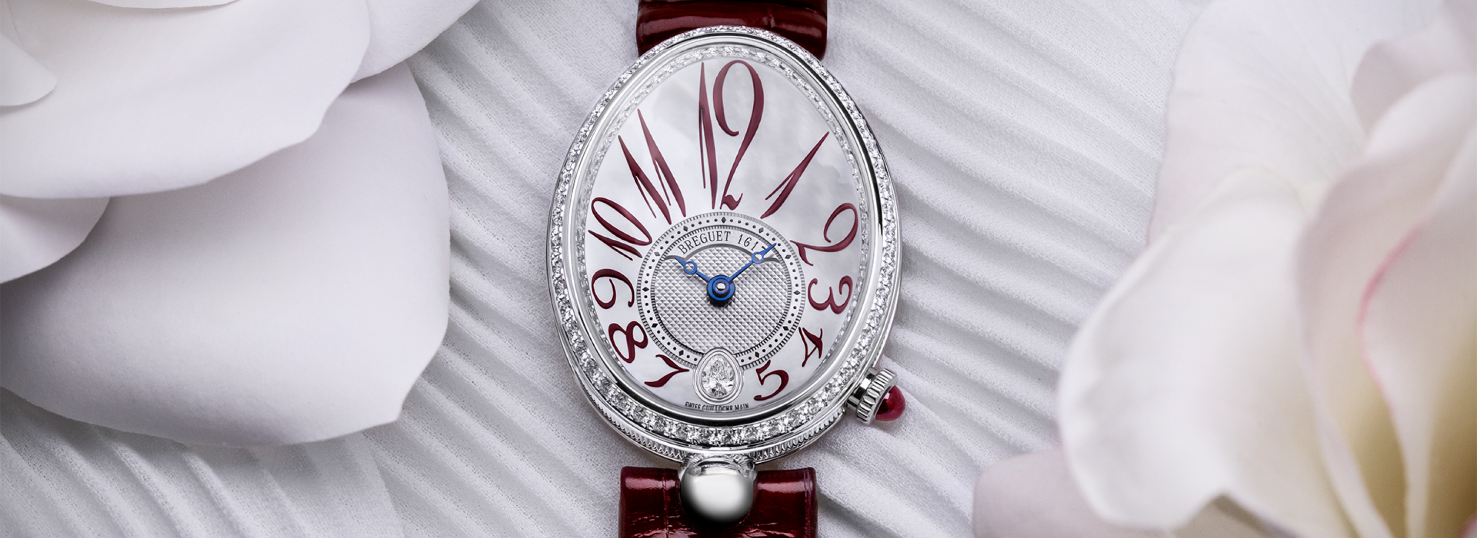 Watch Banner Breguet