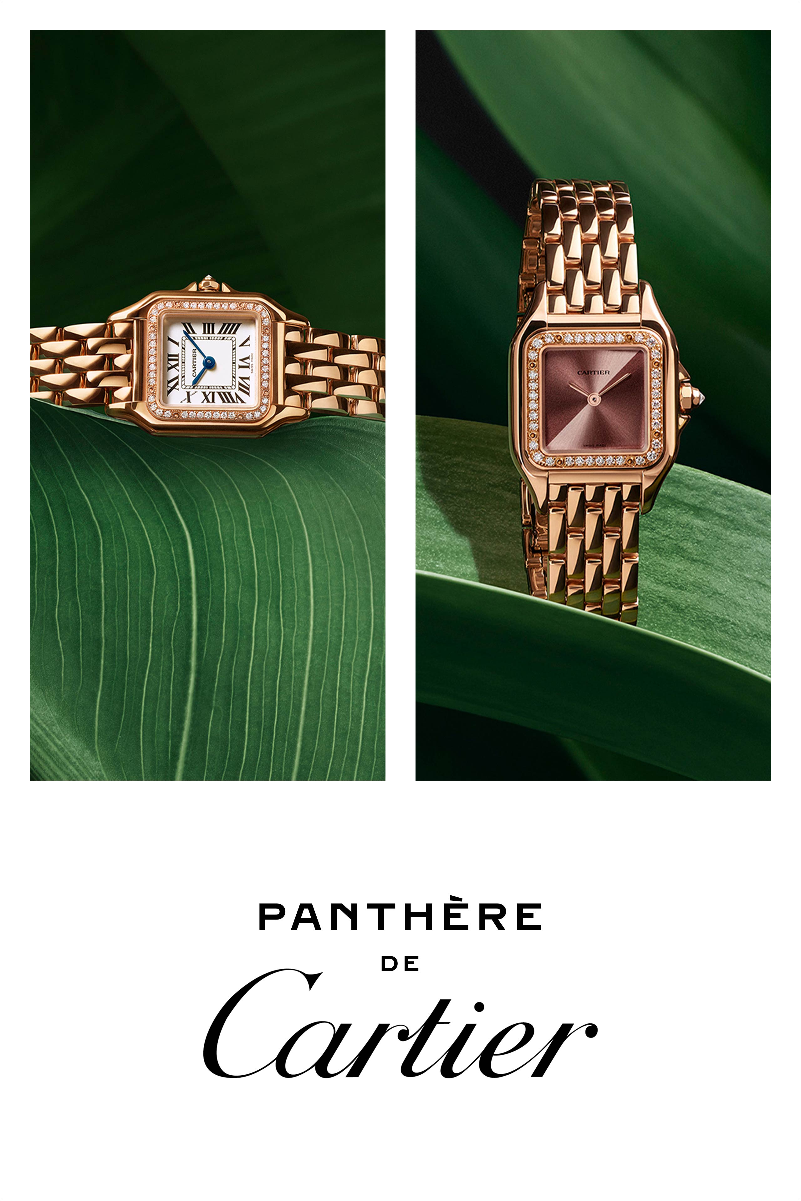 PUWA11138 PANTHERE PG 2560X1137