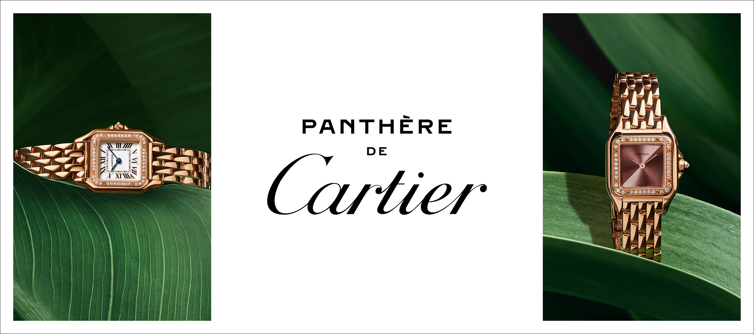 PUWA11138 PANTHERE PG 2560X1137